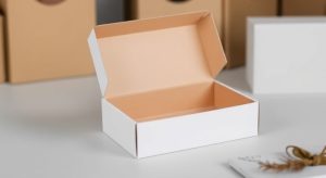 Custom Box Packaging Supplier Malaysia